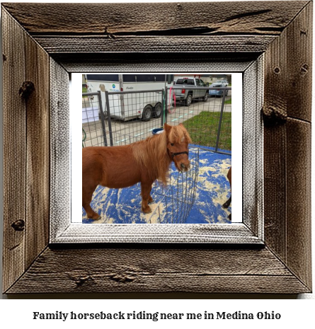 family horseback riding near me in Medina, Ohio